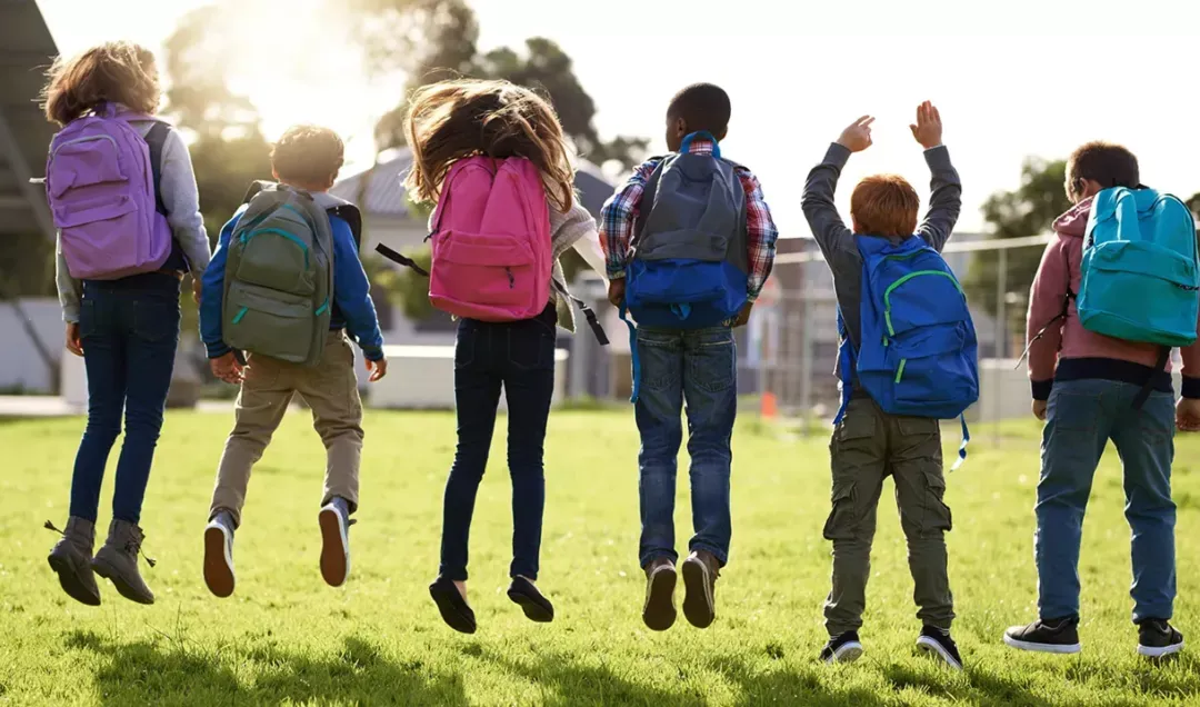 Image for Peel District School Board (PDSB) - Elementary and High Schools