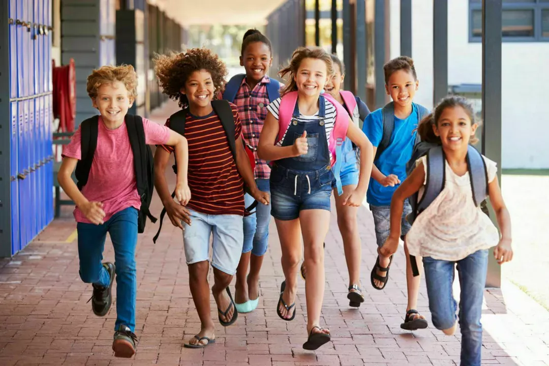 Image for Halton District School Board (HDSB) - Elementary Schools