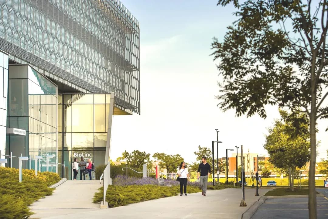 Image for Brock University