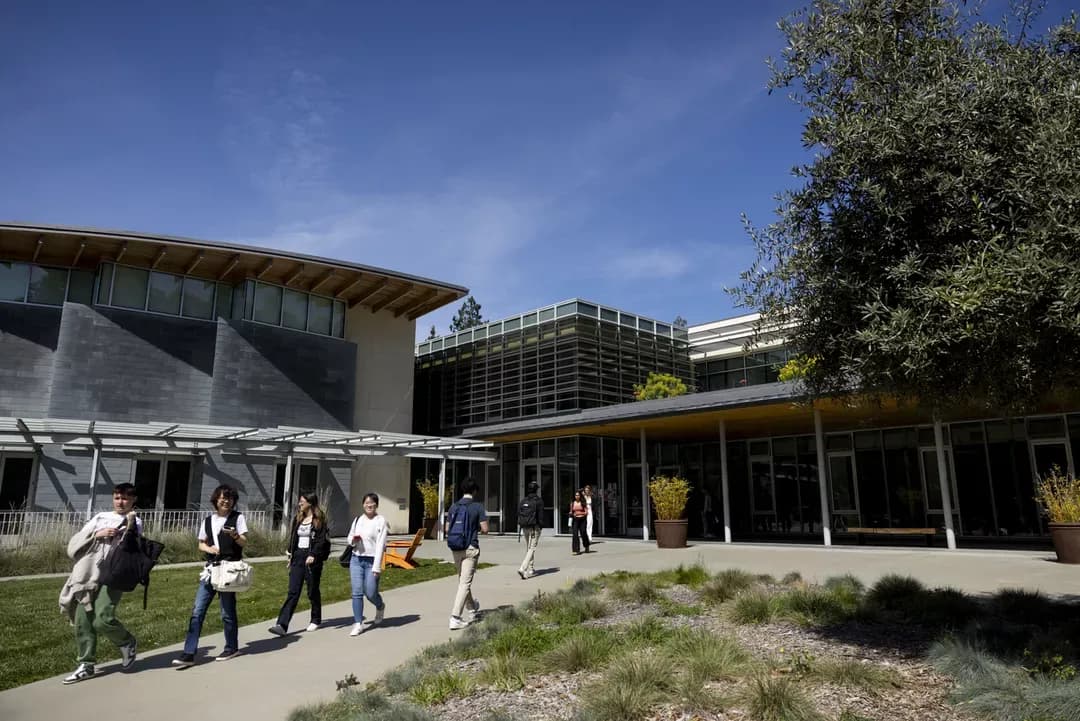 Image for Northeastern University - Oakland