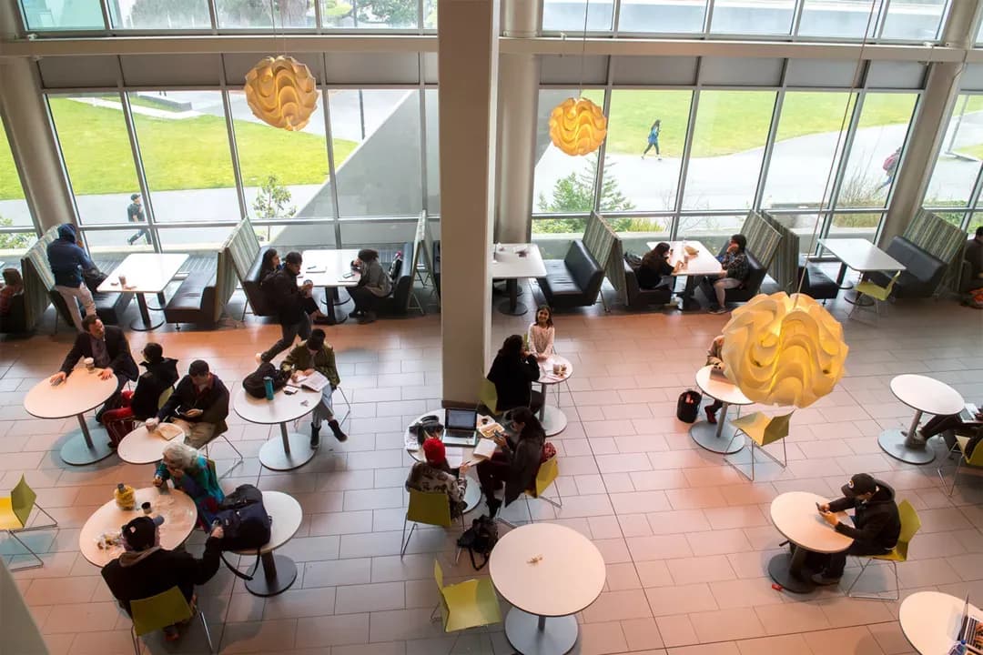 Image for San Francisco State University (SFSU)