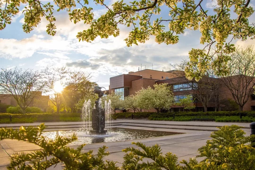 Image for Saginaw Valley State University