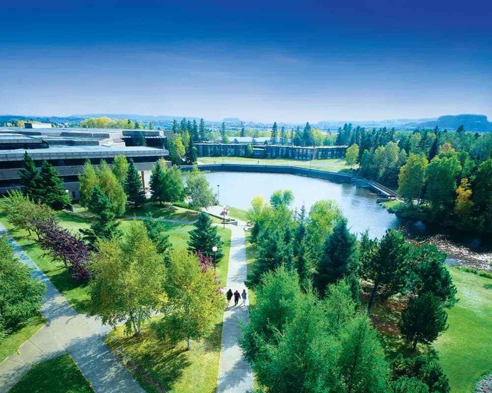 Image for Lakehead University