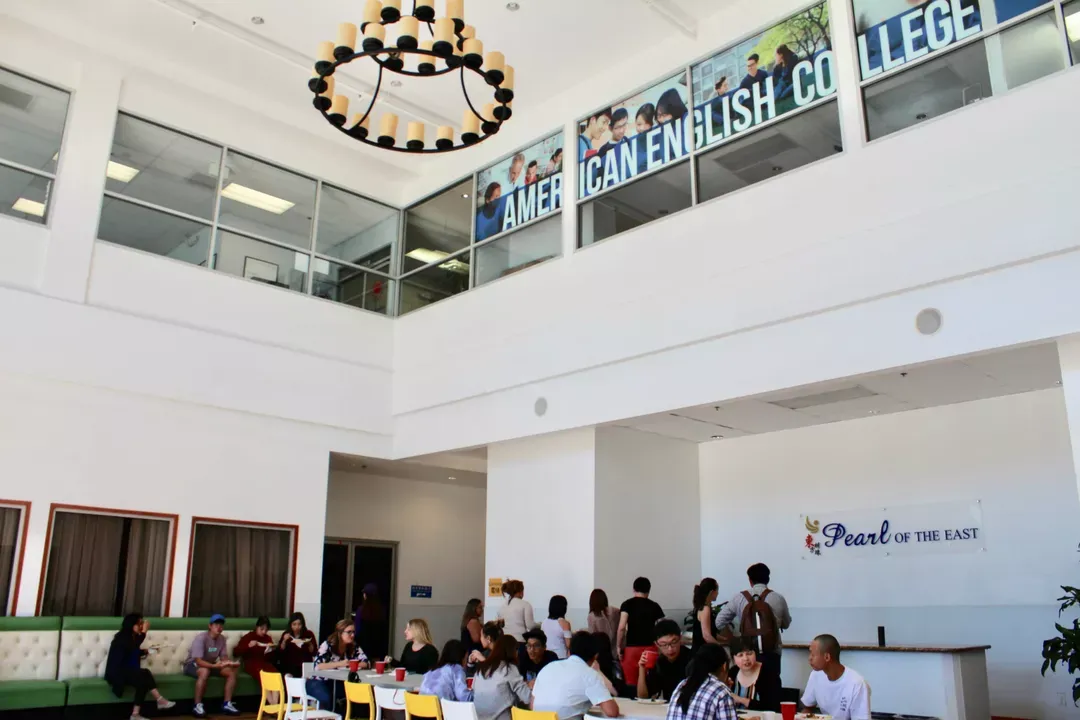 Image for American English College - Branch Campus