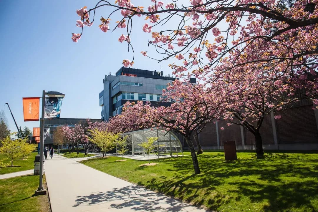 Image for Langara College