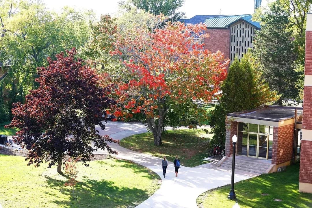 Image for Mount Allison University