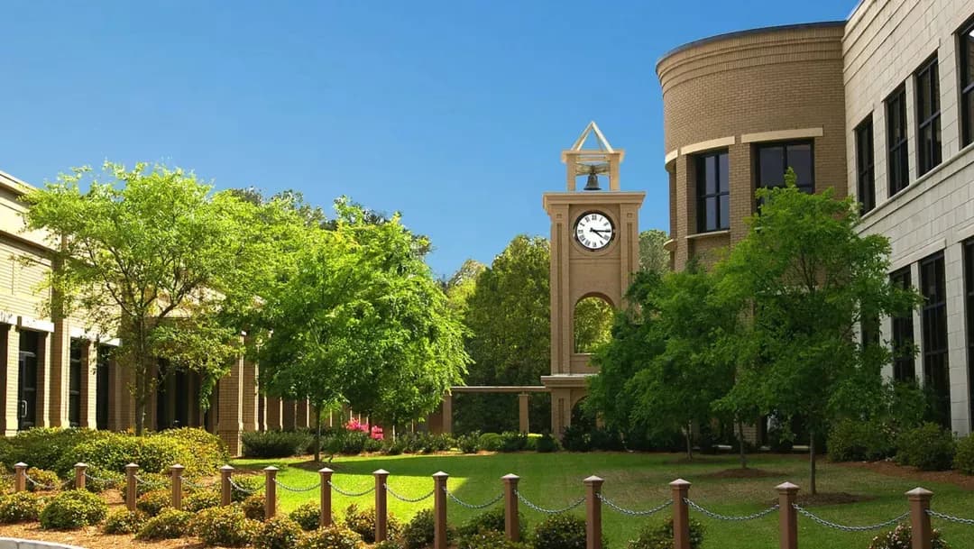 Image for South University, Savannah
