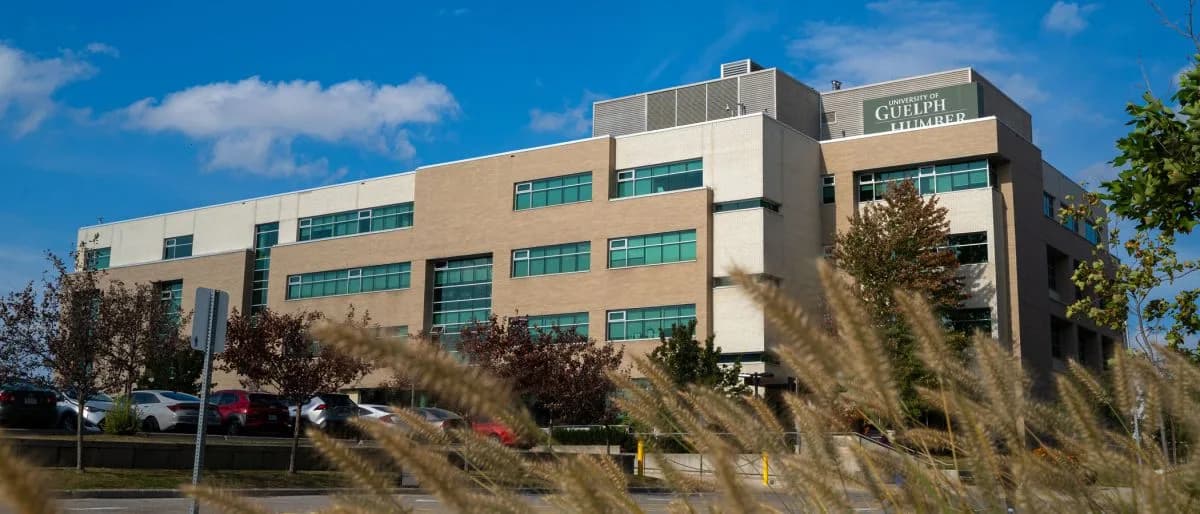 Exterior of the University of Guelph-Humber campus in Etobicoke.